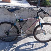 Bici da uomo