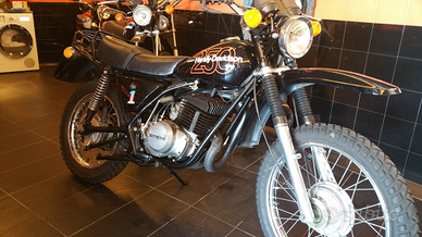 Harley Davidson 250