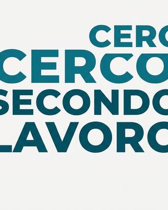 Secondo lavoro