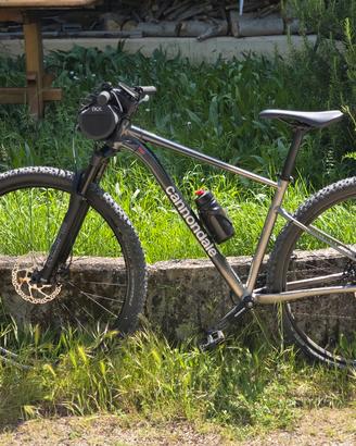 bicicletta  Mountain bike cannondale 
