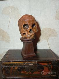 Teschio memento mori