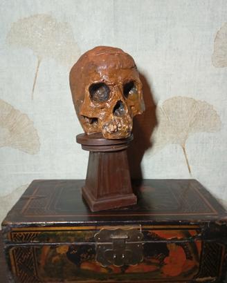 Teschio memento mori