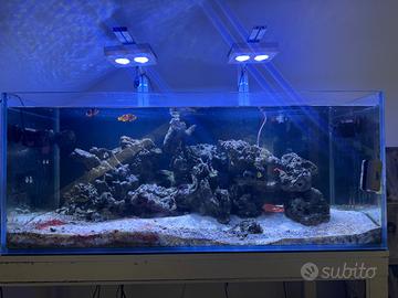 Acquario marino completo 120x50x50 vetro ex/chiaro