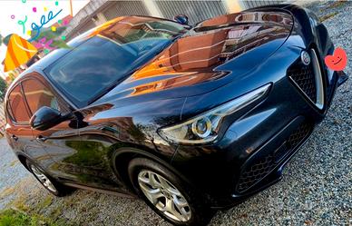 stelvio 160cv business