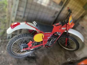 Fa tic caballero 50