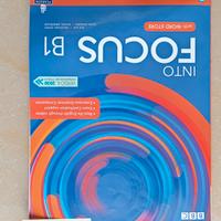 into focus B1 9788883395093