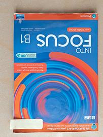 into focus B1 9788883395093