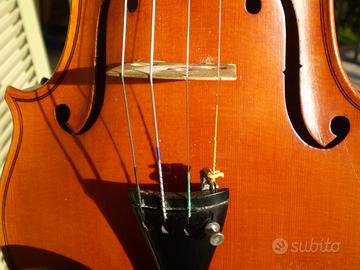 Violino in soffitta