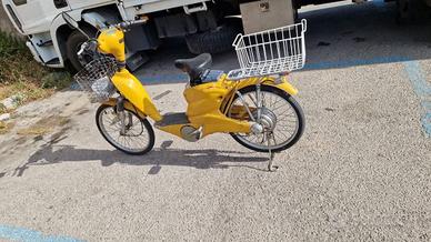 BICICLETTA ELETTRICA