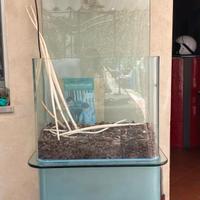 Acquario Terrario 120 lt