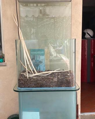 Acquario Terrario 120 lt