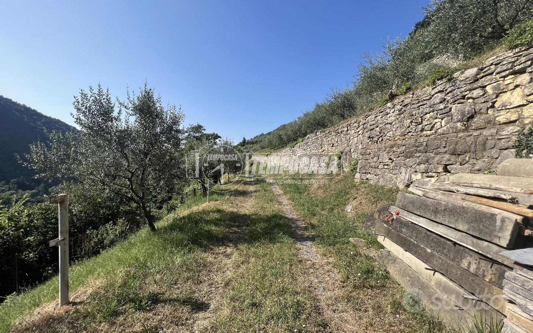 TERRENO AGRICOLO IN ZONA CENTRALE - Vista 3
