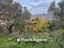Immagine 18