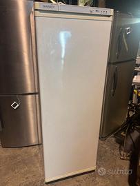 Congelatore verticale Capacità lorda 295 lt.