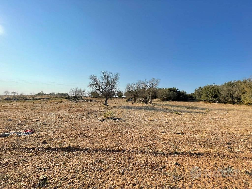 Terreno di 10042 m² a Carpignano Salentino - Vista 3