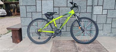 Rockrider cerchi 24
