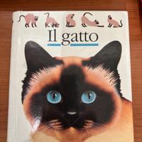 Il Gatto - Un libro da scoprire Ed. E/Elle Prima E