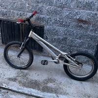 Bici da trial