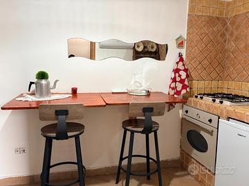 Monolocale con terrazzo a livello spese incluse