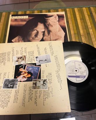 Vinile