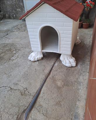 cuccia 