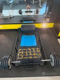 palestra