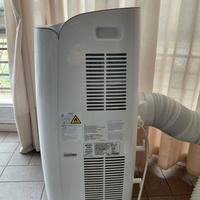 Pinguino caldo/freddo