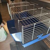 gabbiette recinto e giochi per coniglietti 