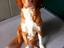 Immagine 5