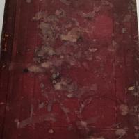 "novissimo diccionario de la lengua castellana"