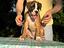 Immagine 5