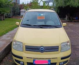 Fiat Panda Disel 1300 mjt colore giallo