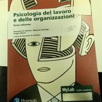 Psicologia del lavoro e delle organizzazioni