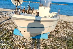 Barca a motore con licenza