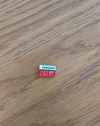 Micro SD Samsung EVO Plus 32GB