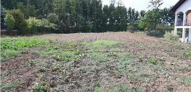 Terreno edificabile in Palestro