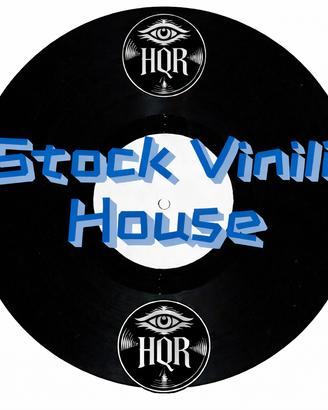 Lotto stock 105 vinili mix HOUSE con LISTA -MUSICA