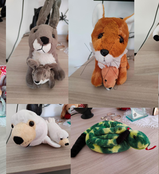 Peluche