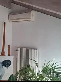 condizionatore Blue Ice Clima