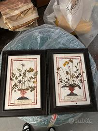 Coppia di Composizioni Botaniche Originali 1903