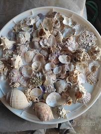 mare decorazioni 