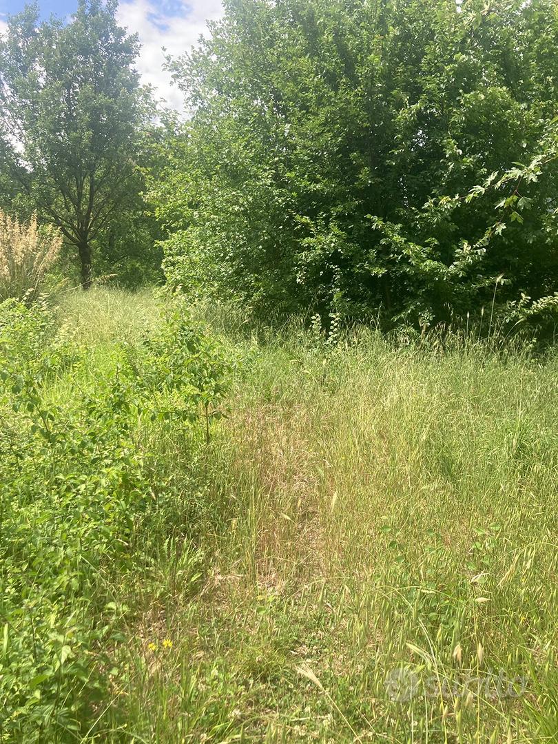 Terreno con rudere - Vista 2