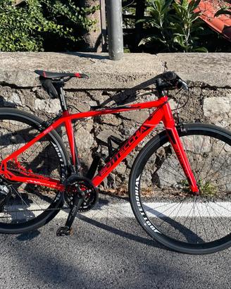 Bottecchia duello
