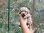 Immagine 3