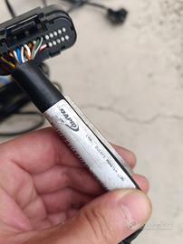 cablaggio Rapidbike EVO/RACING PER Hypermotard 950