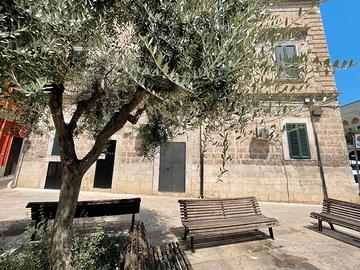 Splendido locale uso ufficio - Triggiano