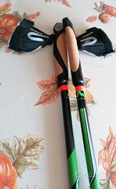 Bastoni da nordworking