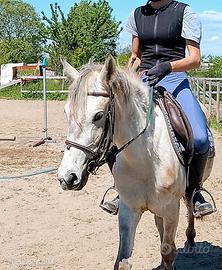 Pony 5 anni