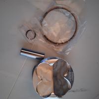 Pistone TM 250 f 2011