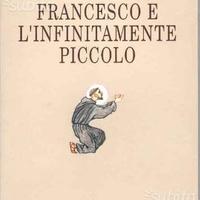 Francesco e l'infinitamente piccolo